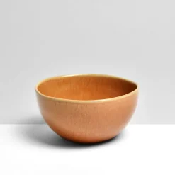 Céladon Paris Bol moyen | Terracotta sienna Sale