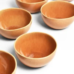 Céladon Paris Bol moyen | Terracotta sienna Sale