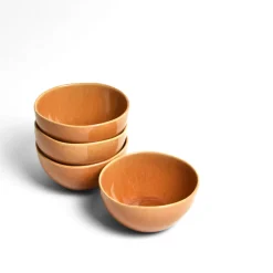 Céladon Paris Bol moyen | Terracotta sienna Sale