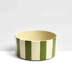 Céladon Paris Grand bol | Vert Linhas New