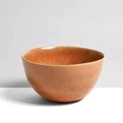 Céladon Paris Grand bol rond | Terracotta sienna Outlet