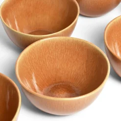 Céladon Paris Grand bol rond | Terracotta sienna Outlet