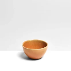 Céladon Paris Mini bol | Terracotta sienna Discount