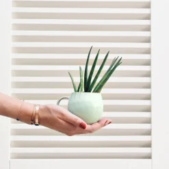 Céladon Paris Mug moyen | Vert audacieux Outlet