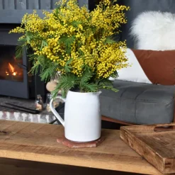 Céladon Paris Pichet rond | Blanc audacieux Online