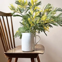 Céladon Paris Pichet rond | Blanc audacieux Online