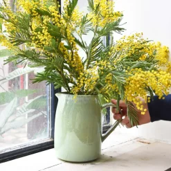 Céladon Paris Pichet rond | Vert audacieux Clearance