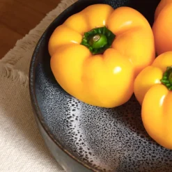 Céladon Paris Plat de service rond | Noir écume New