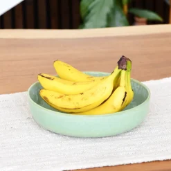 Céladon Paris Plat de service rond | Vert audacieux Online