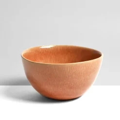 Céladon Paris Service pour 2 | Terracotta sienna New