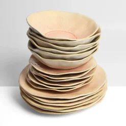 Céladon Paris Service pour 6 Onda | Corail doré Clearance