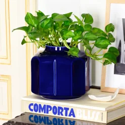 Céladon Paris Vase Baixo | Indigo Sale